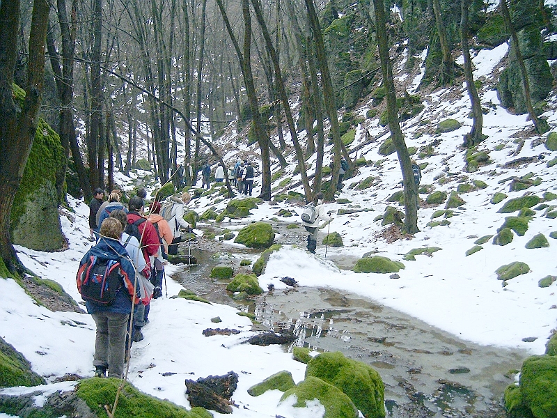 20100220 051.jpg